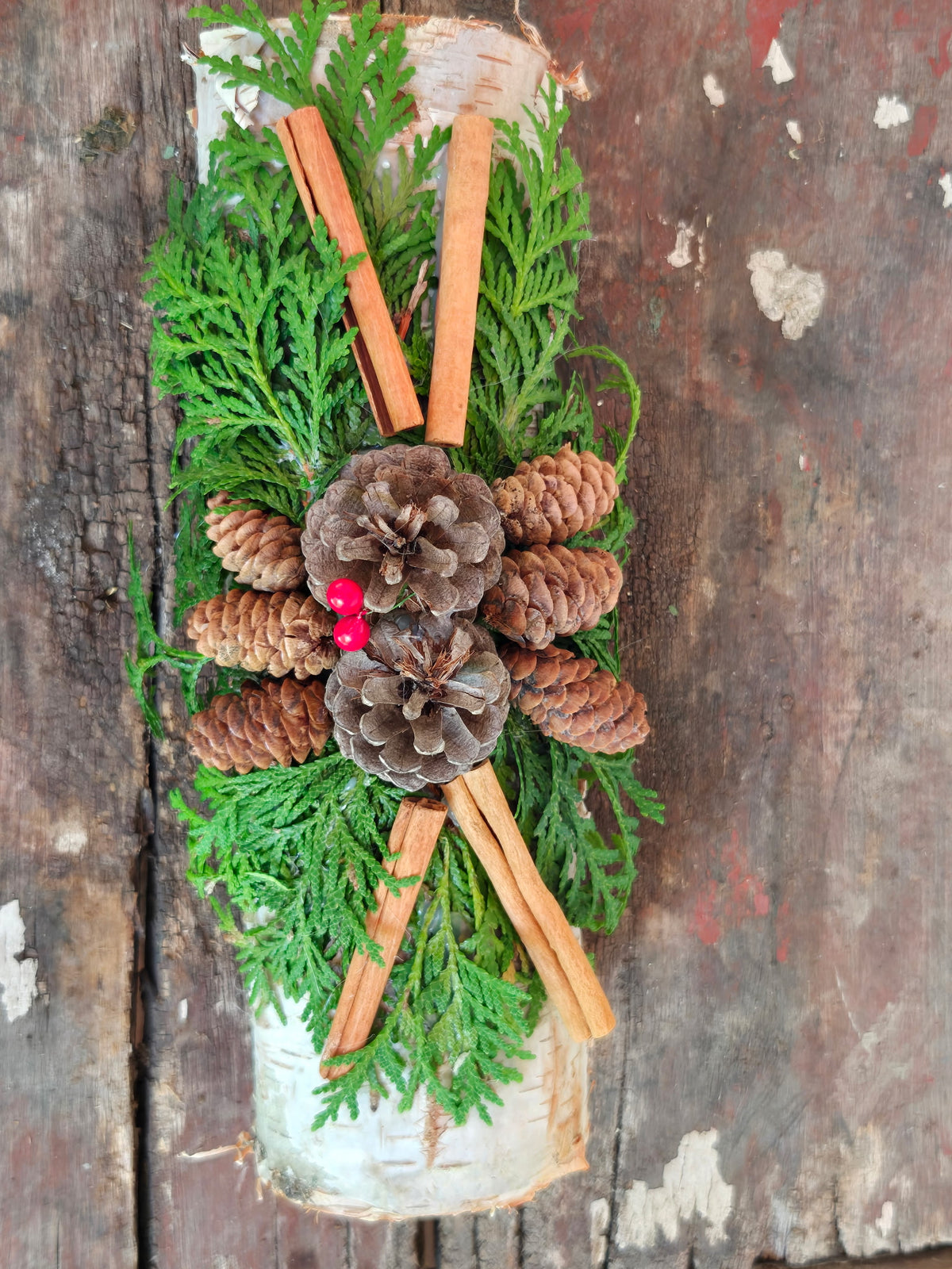 Birch Yule Log (12")