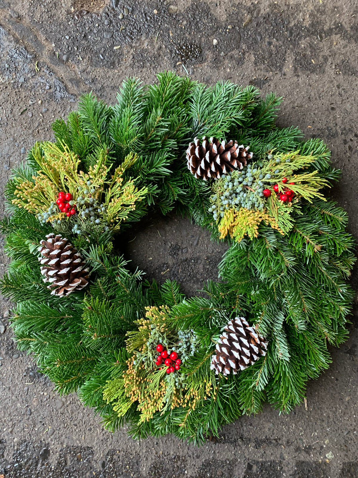 Traditional Decorator Wreath (24")